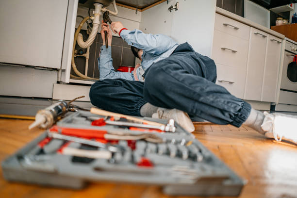 Best Sprinkler Systems  in Lewisburg, TN
