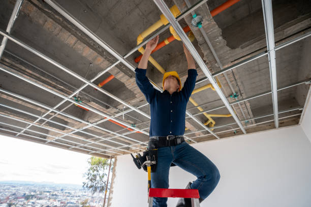 Best Plumbing Repair Near Me  in Lewisburg, TN