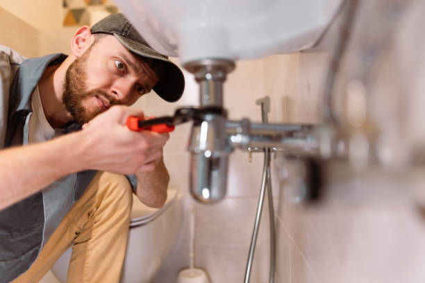 Best Local Plumber Services  in Lewisburg, TN