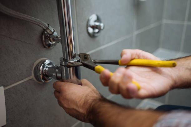 Best Clogged Drain Plumber  in Lewisburg, TN