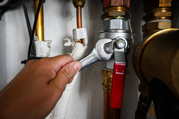 Best Plumbing Inspection Services  in Lewisburg, TN